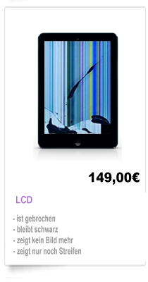 iPad Mini LCD Austausch Reparatur Berlin